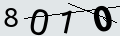 verifycode